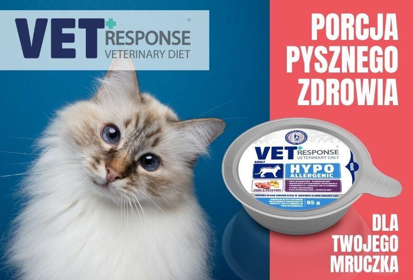 jak żywienie wpływa na zachowanie kota