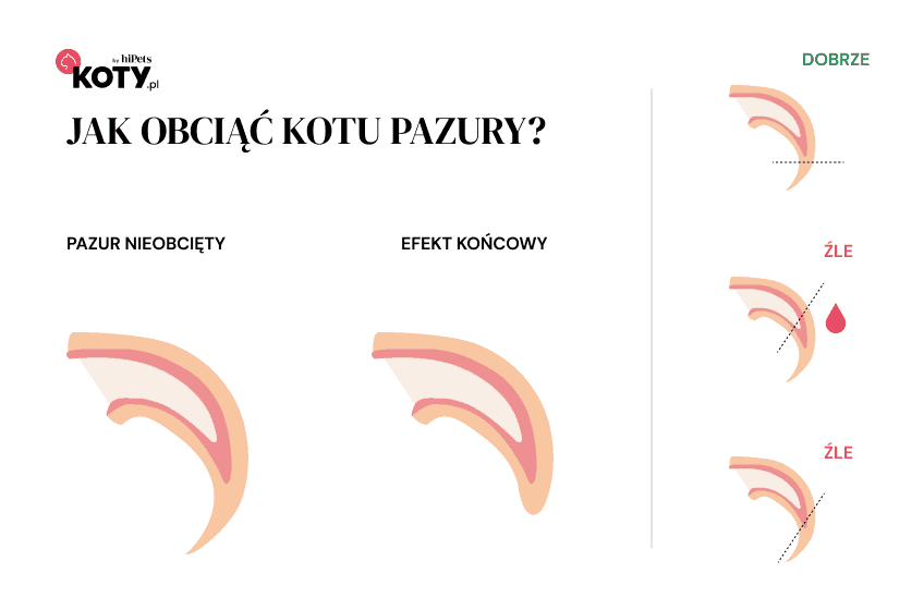 obcinanie pazurków