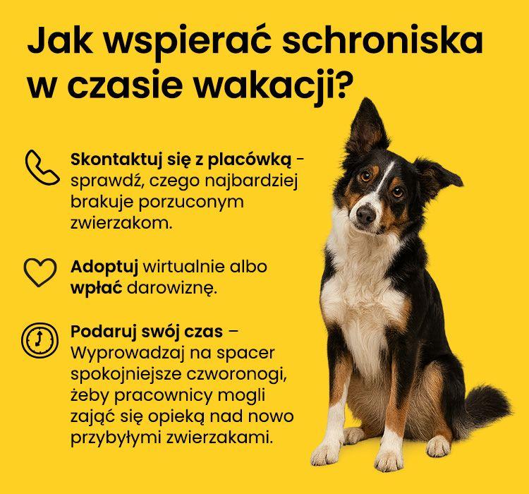 1774512797-original.jpg