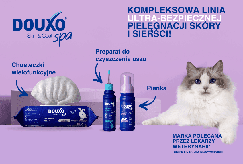 Douxo Spa 848x575 KOTY.png