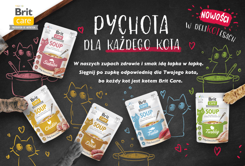 5 powodów by podawać kotu zupki - brit
