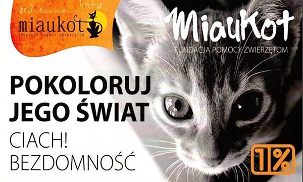 12743684_10206028148242107-miaukot.jpg