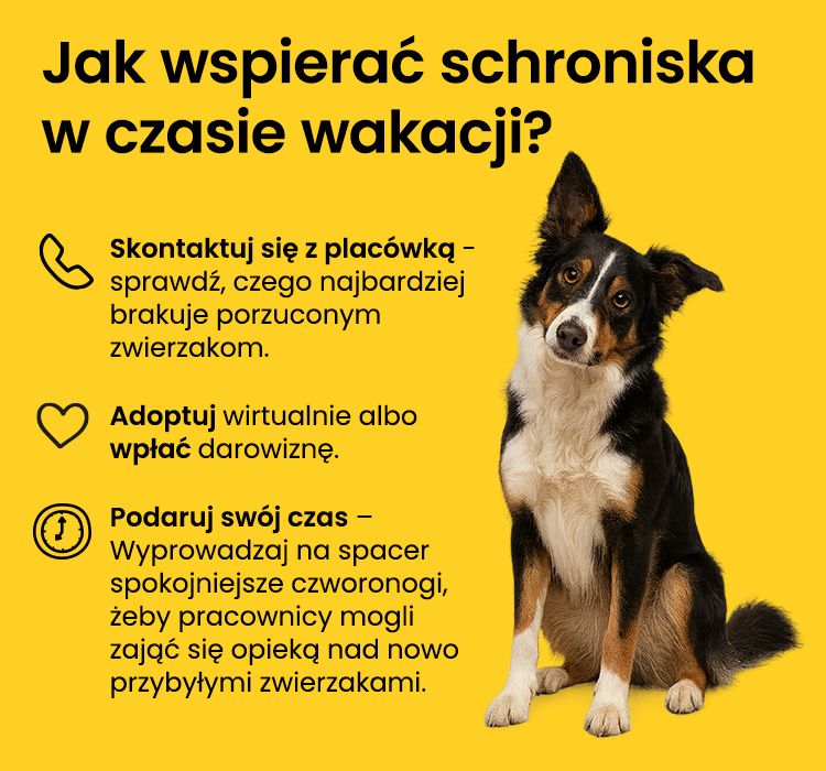 1774512797-original.jpg