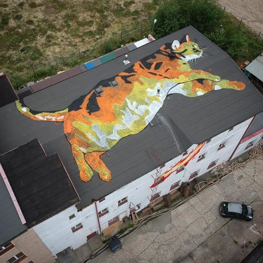Mural. Kot na dachu