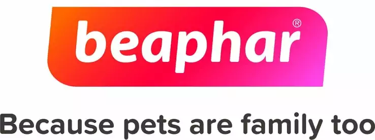 243789702_841671633208073_6508210329007737215_n.webp