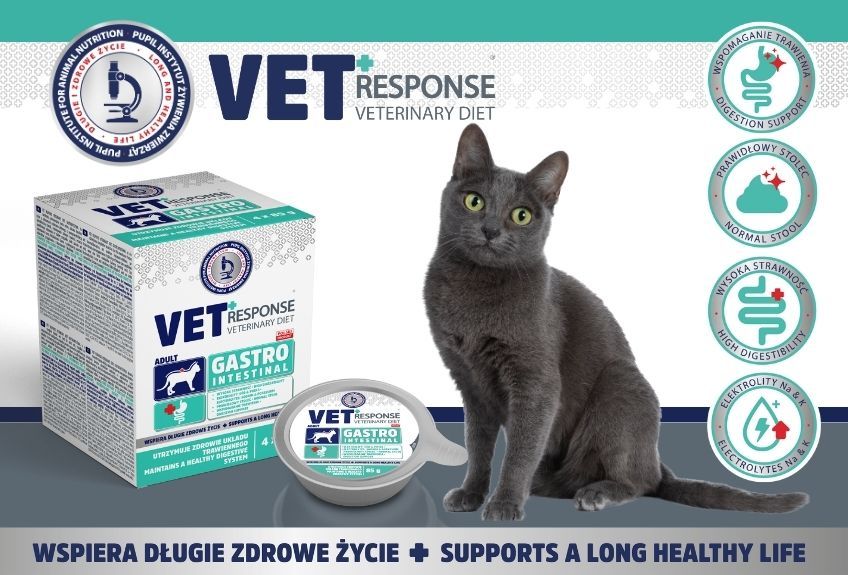 gastrointestinal vet response