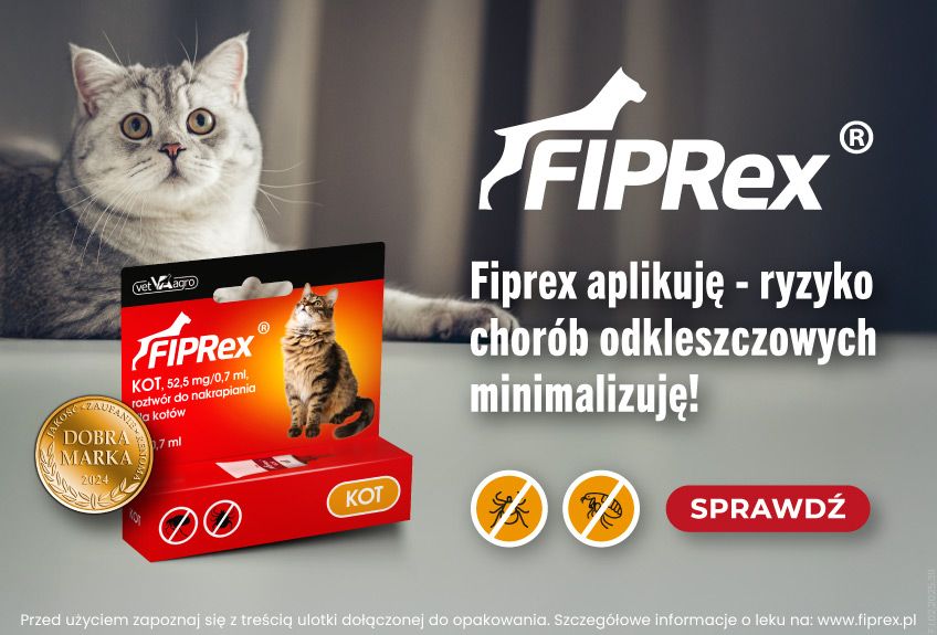 domowe sposoby na pchły u kota