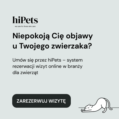 hipets koty