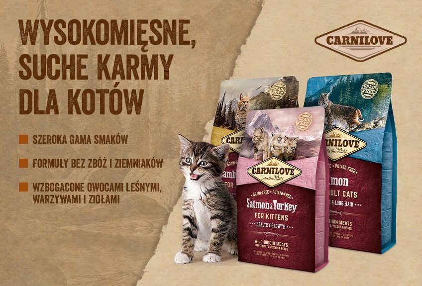 materiał partnera
