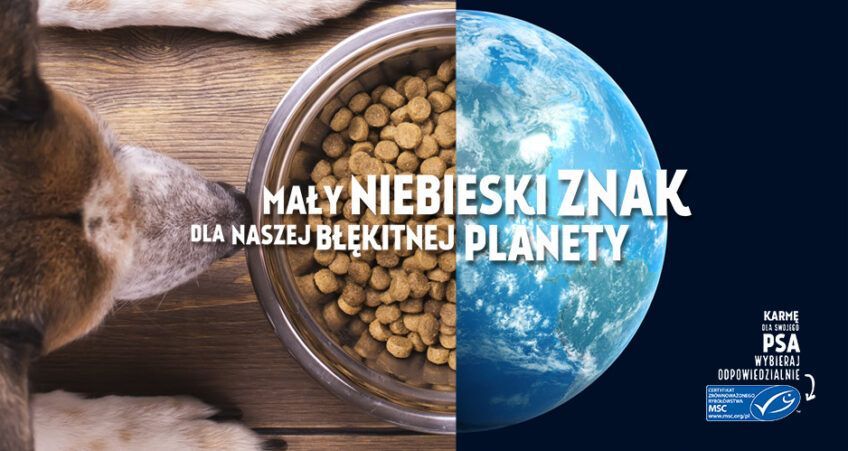 karmy rybne z certyfikatem msc