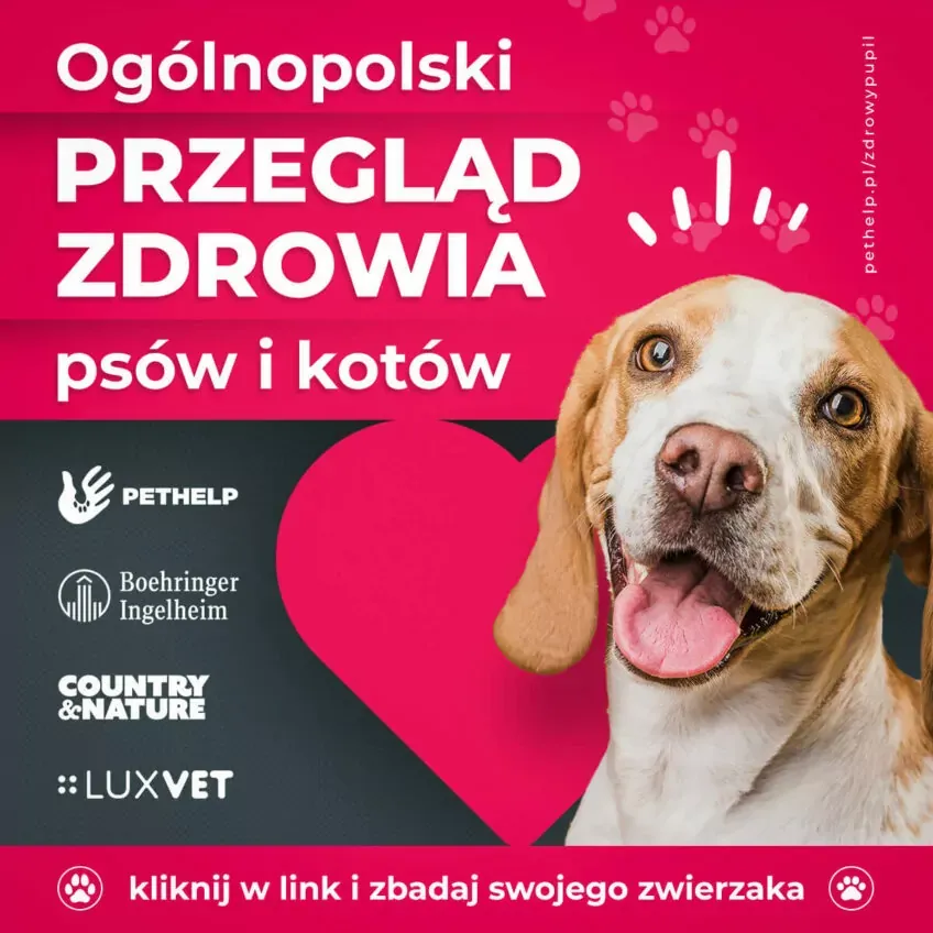 Przeglad-zdrowia-e1650892821710.webp