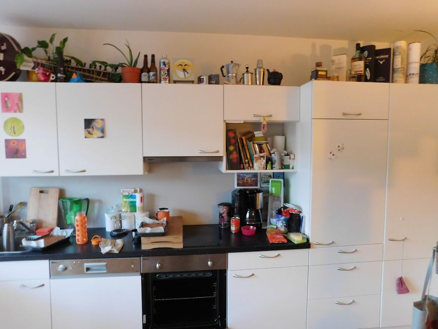 can-you-find-my-cat-pedro-in-this-pic__880.jpg