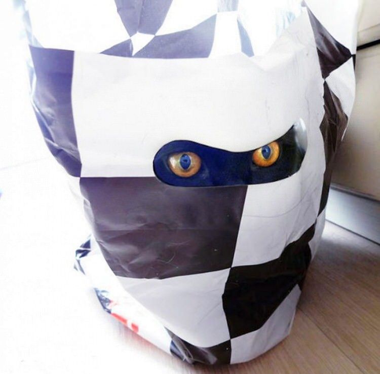 funny-camouflaged-cats-14.jpg