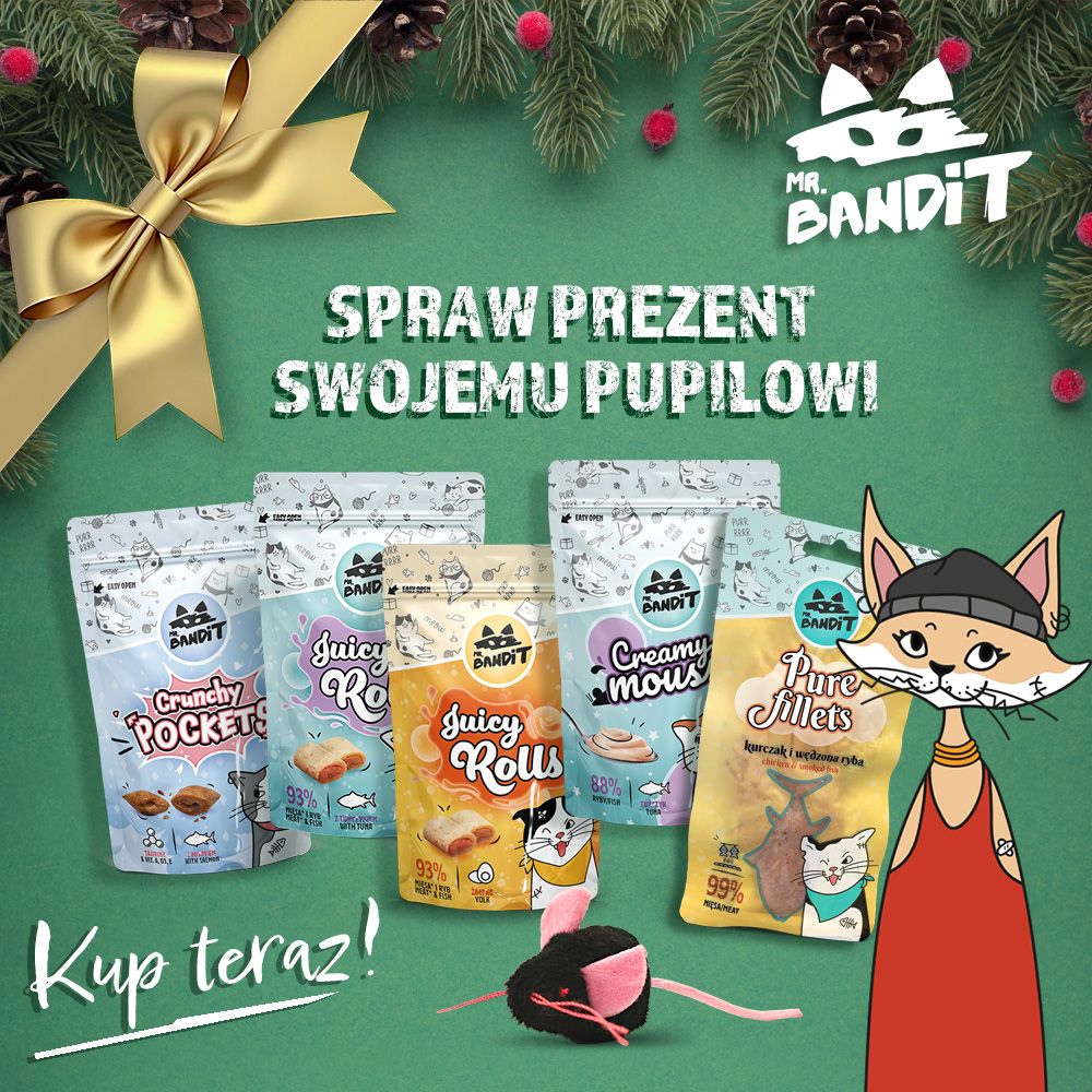 prezent dla kota