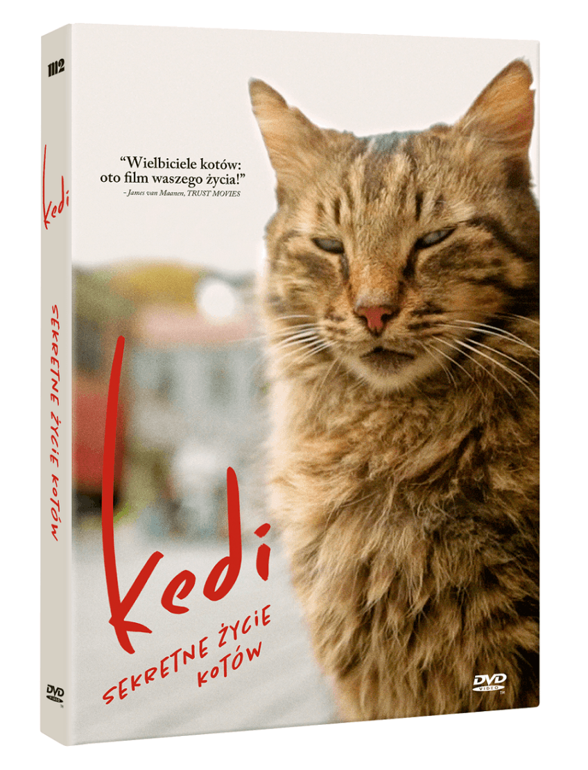 Kedi, okładka
