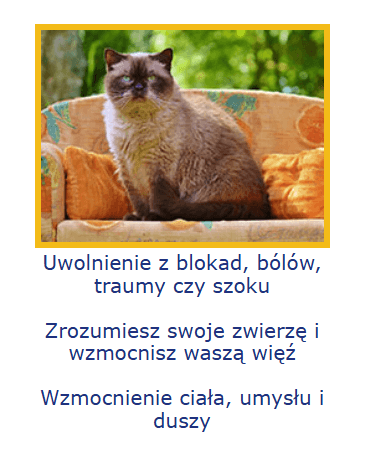 reiki dla zwierząt