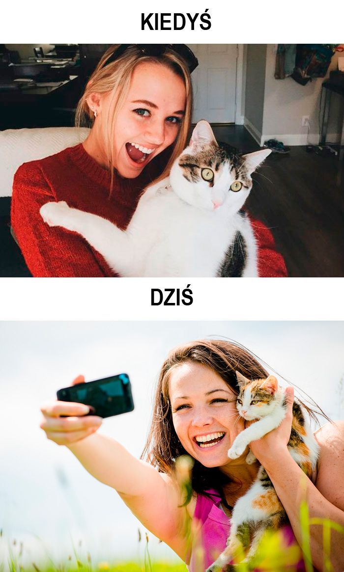koty kiedyś i dziś