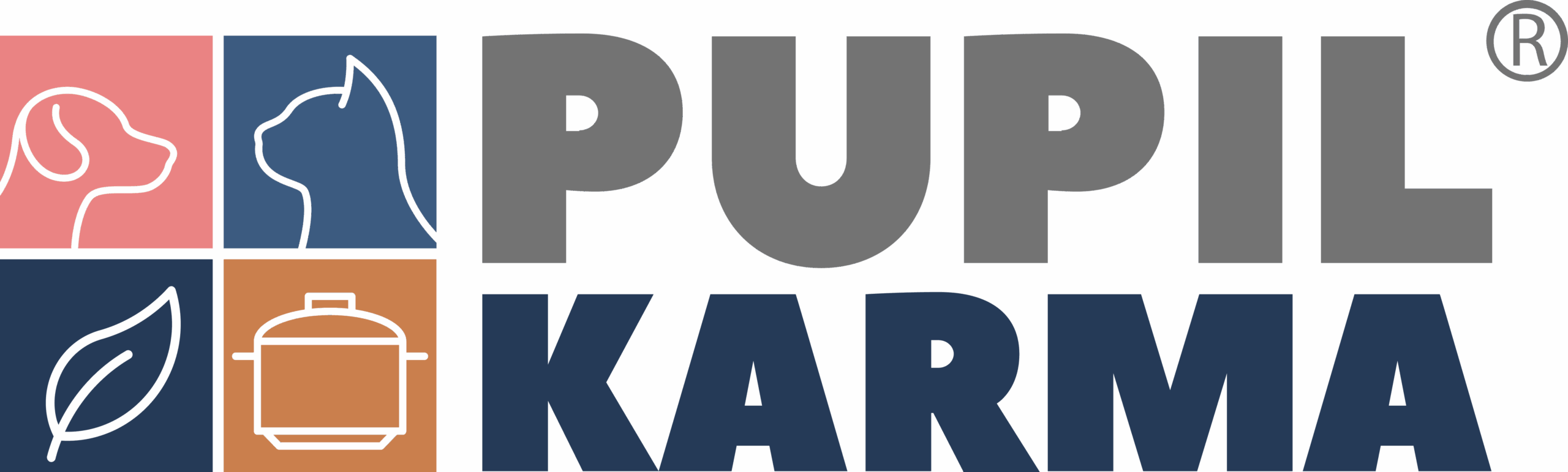 logo pupil