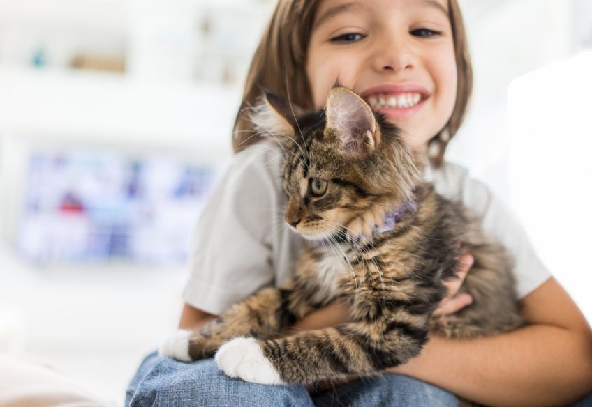 maine coon z dzieckiem