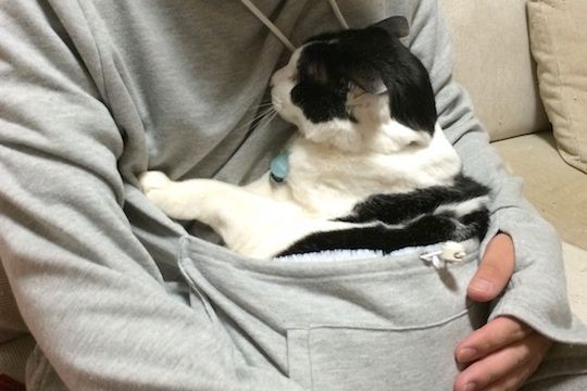 Mewgaroo Hoodie Pet Pouch