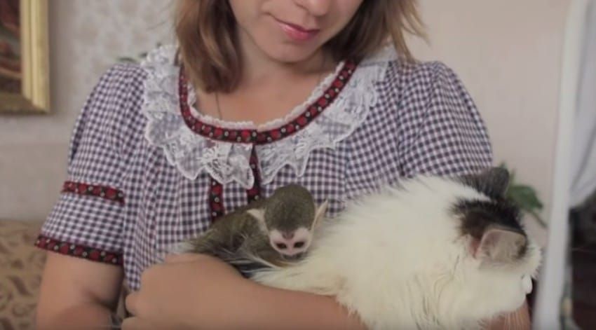 rosinka i fiodor