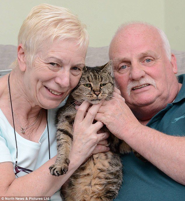 Nutmeg najstarszy kot świata z opiekunami