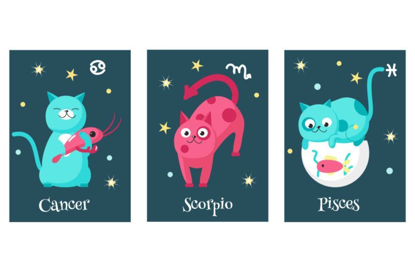 koci zodiak