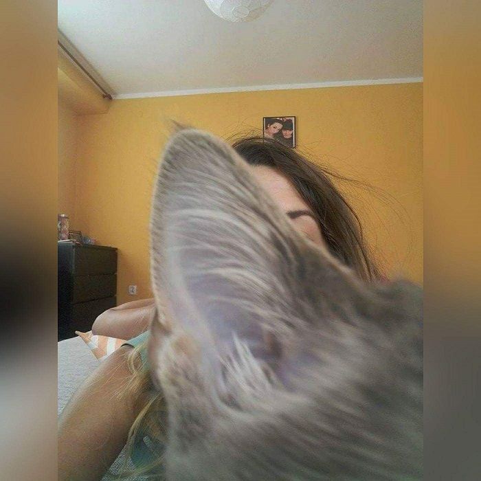 selfie z kotem