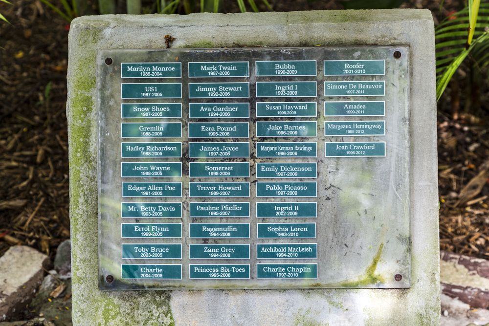Key West grób kotów Hemingwaya