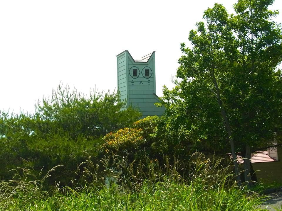koci dom na Tashiro-jima